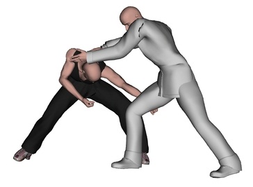 stop wrestler take down